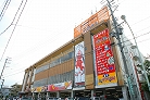 芙蓉神明